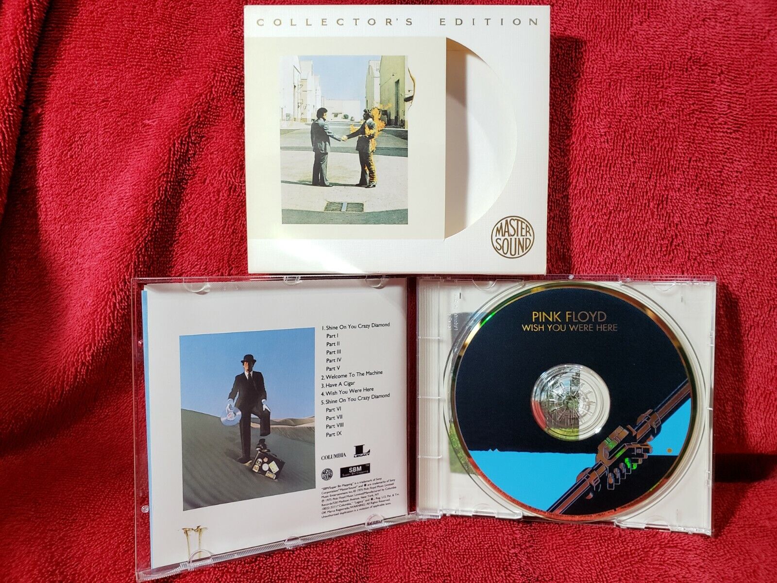 Pink Floyd Wish You Were Here acoustic performance