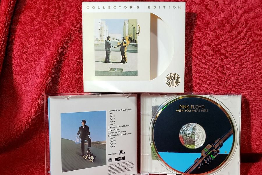 Pink Floyd Wish You Were Here acoustic performance