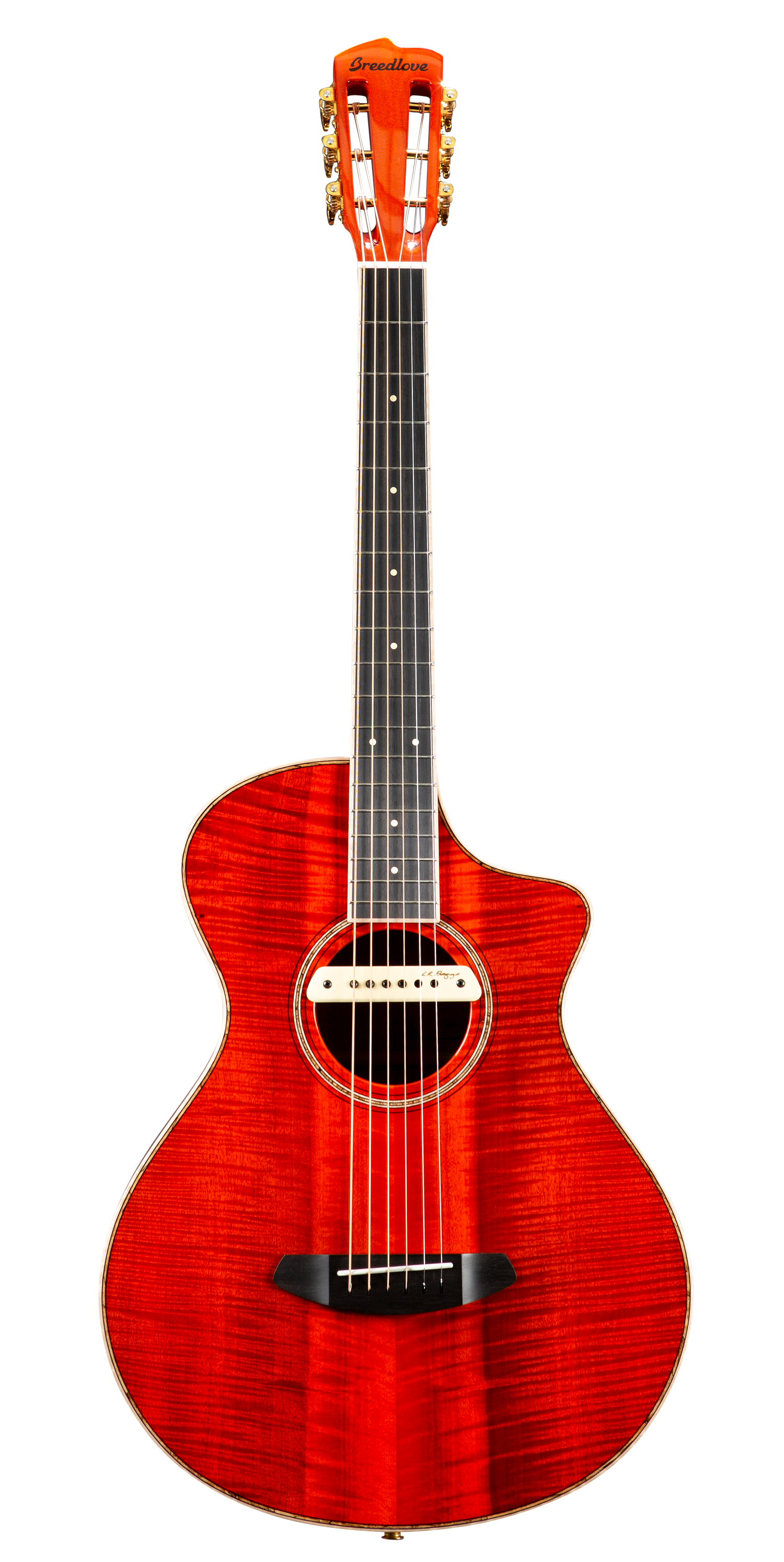 The Beatles Blackbird acoustic guitar