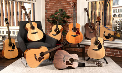 What is the best acoustic guitar for beginners?